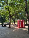 allygravemade Altpins Profile Picture