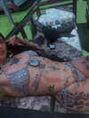 strawberryshanz Altpins Profile Picture