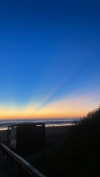 solzarubin_ Altpins Profile Picture