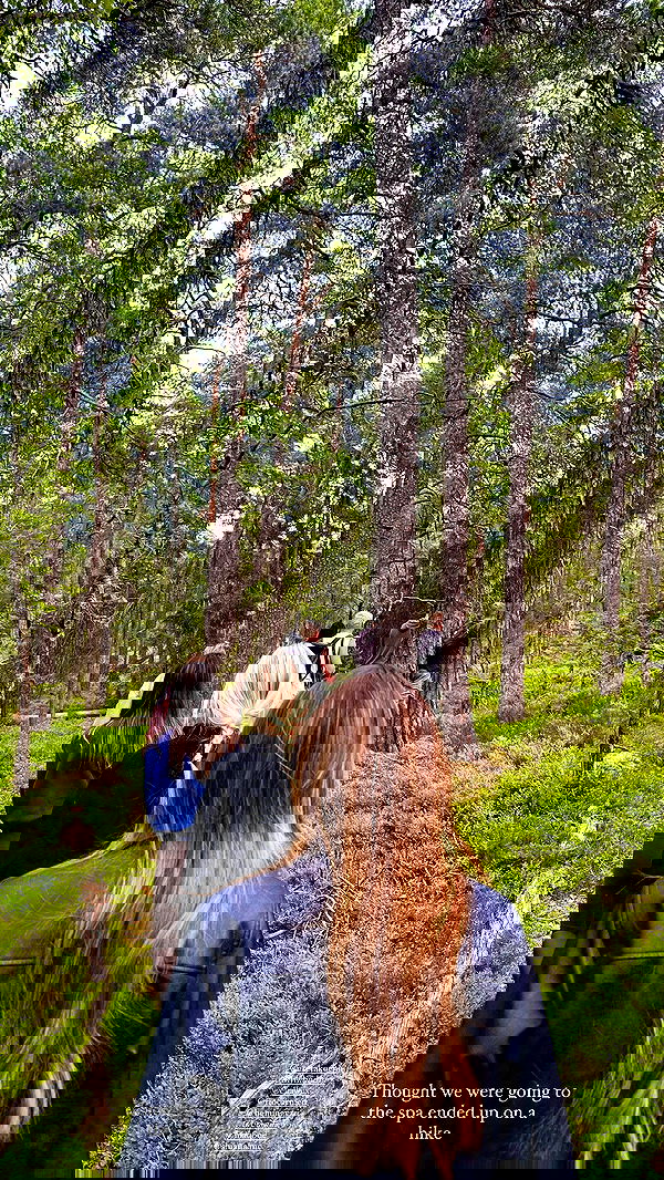 taylor.creeden taylor.creeden archive image