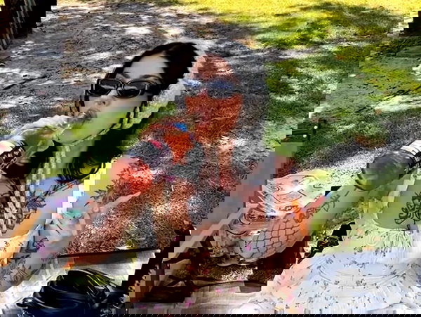 jtilb2 image ~ Altpins