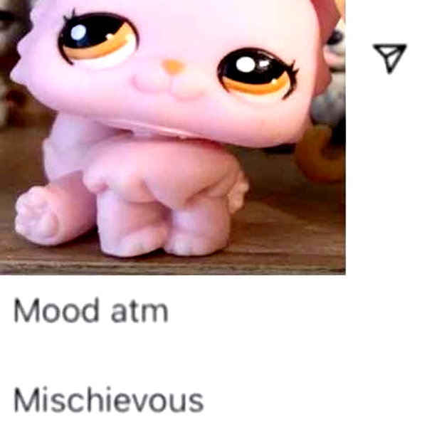 1uvgabi instagram image archive image