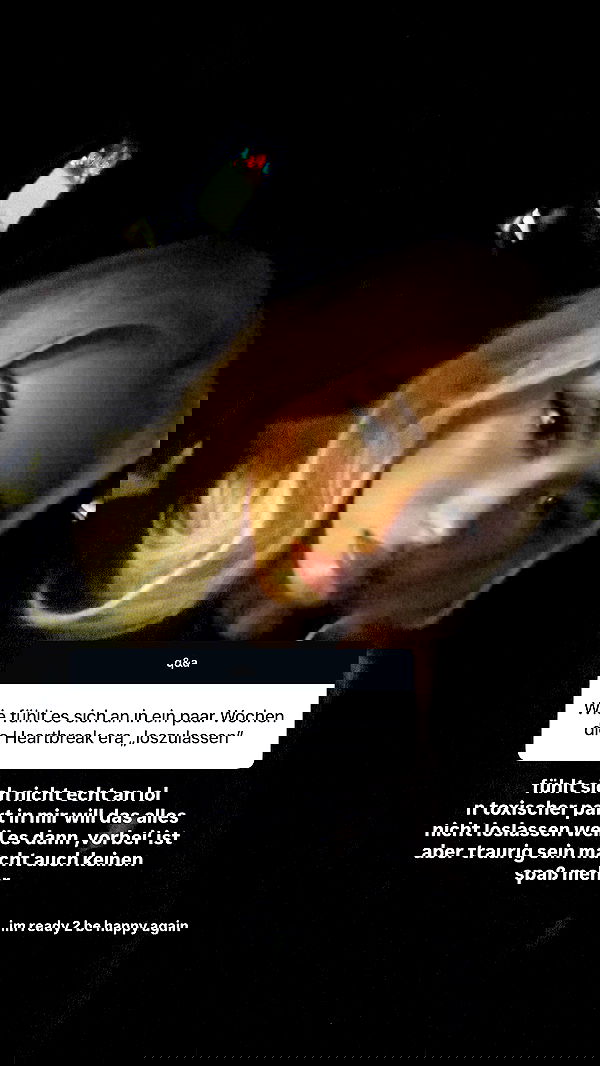 gwendolynceline gwendolynceline archive image