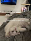barbie_vampi Altpins Profile Picture