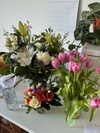 vanessa.rhd Altpins Profile Picture