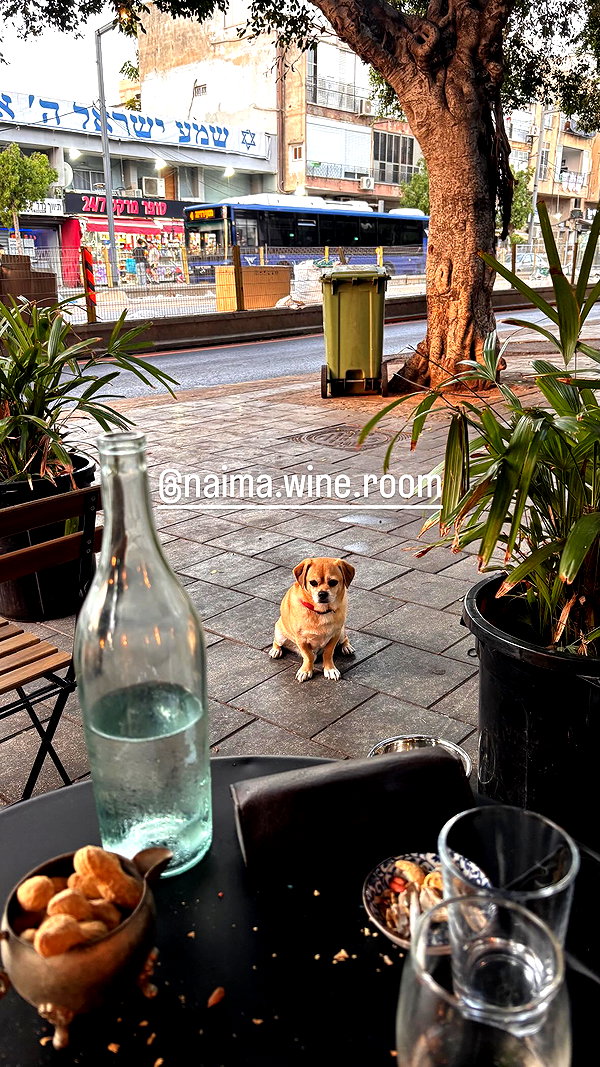 alma.almog instagram image archive image