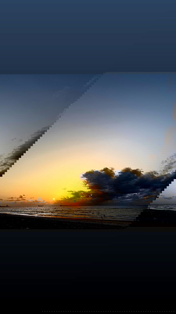 efrat_elmalich efrat_elmalich archive image