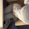 elerievans123 Altpins Profile Picture