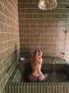 carolinezalog Altpins Profile Picture