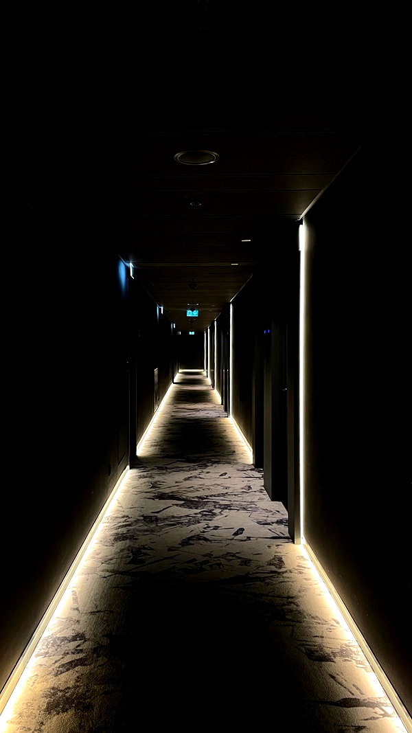 vvelum_ archive image