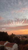 anya_shtril Altpins Profile Picture