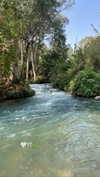 maori_cohen Altpins Profile Picture