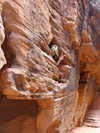 blossom_in_my_moonlight Altpins Profile Picture