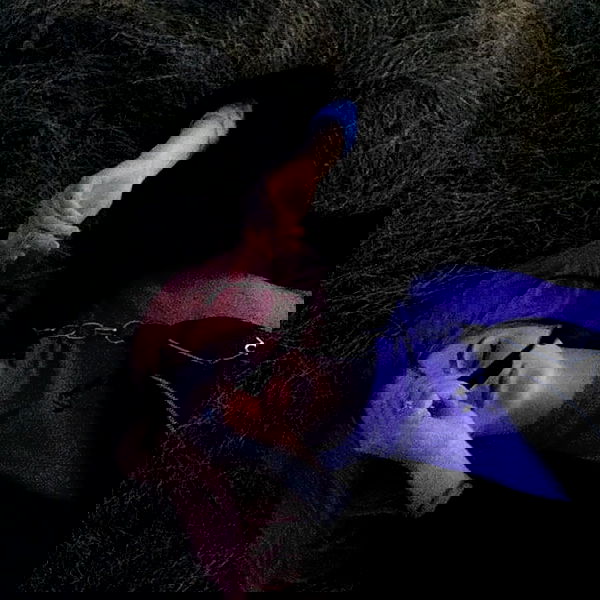 annfigmax image ~ Altpins