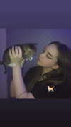 vslunz Altpins Profile Picture
