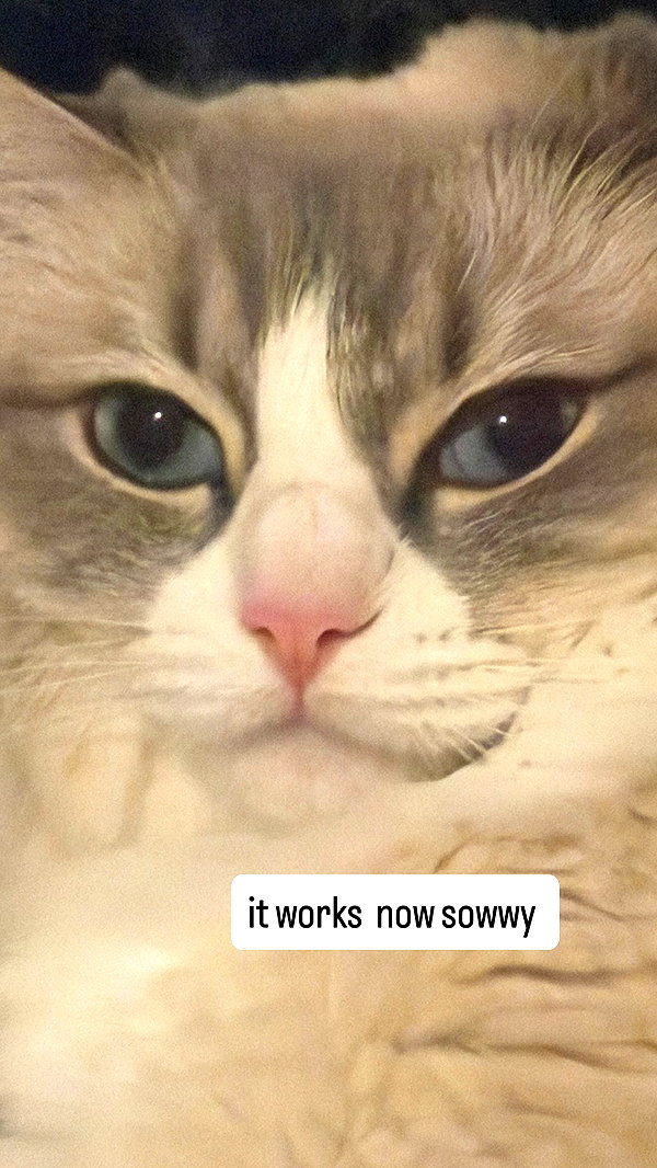 catl0verr69 instagram image archive image