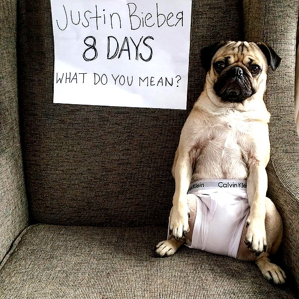 lilbieber instagram image archive image
