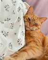 owlydiaa Altpins Profile Picture