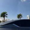 ariana_vomi Altpins Profile Picture
