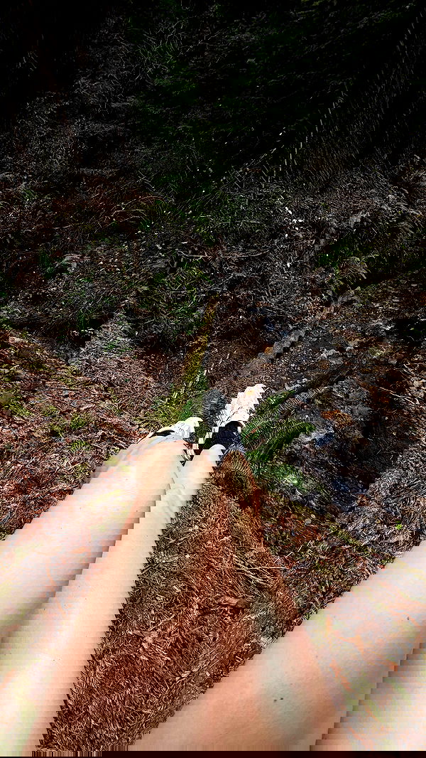 carolinezalog carolinezalog archive image