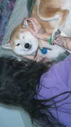 zommmbri Altpins Profile Picture