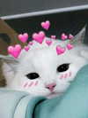 ellaexplicit_ Altpins Profile Picture