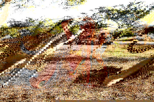 taylor.creeden taylor.creeden archive image