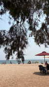 dina_shrago Altpins Profile Picture