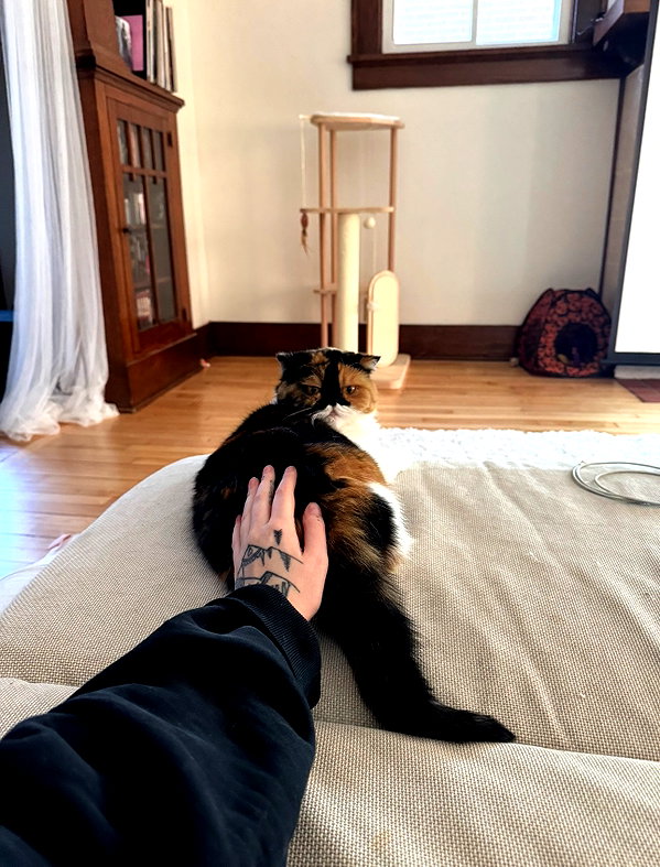 mewisa instagram image archive image