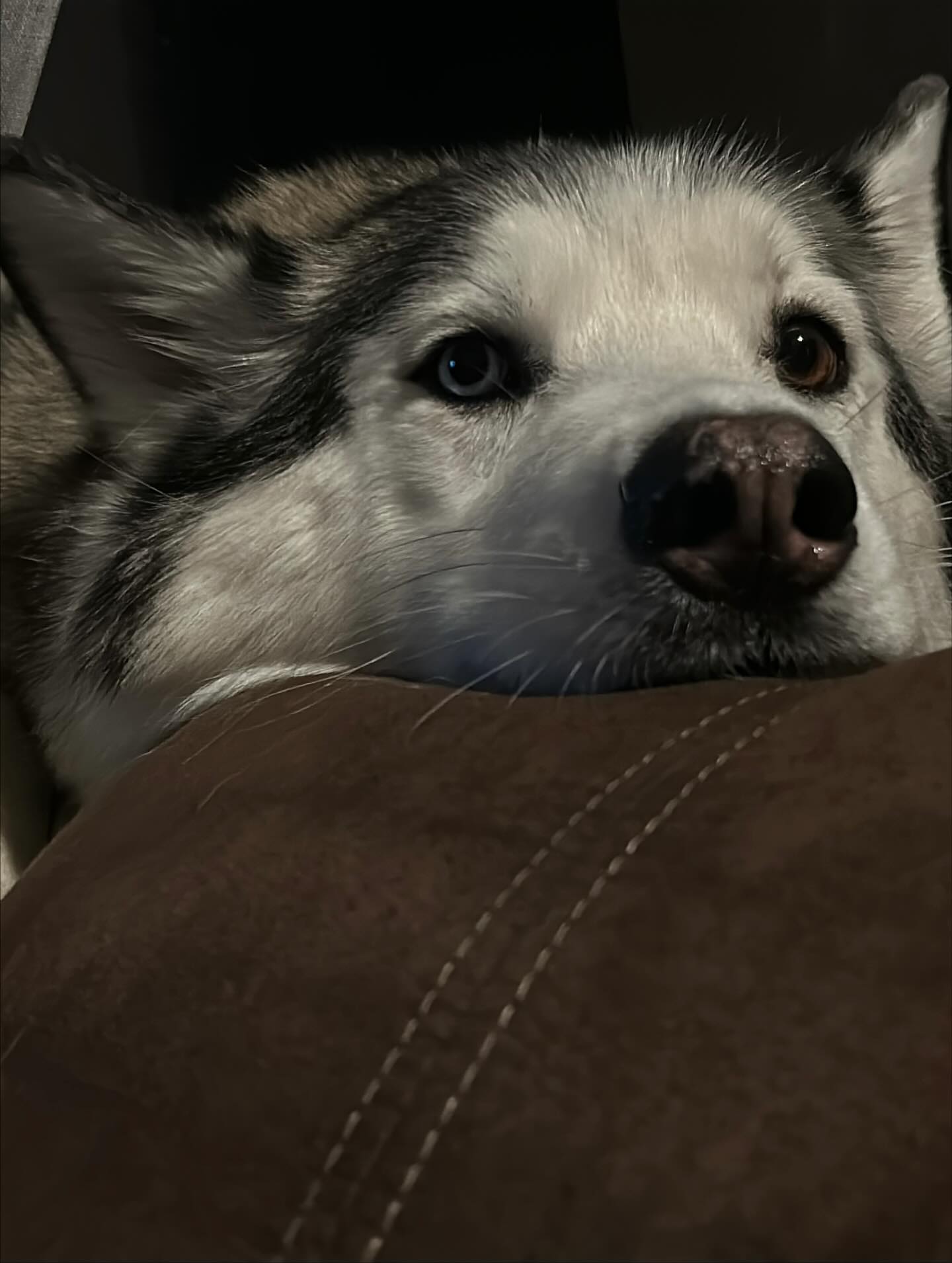 _animechika_ instagram image archive image