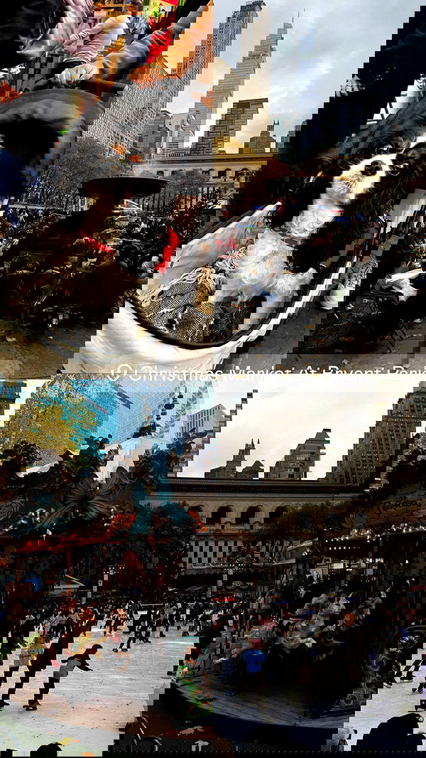 biton__adi biton__adi archive image