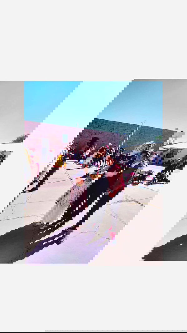 melbruno image ~ Altpins