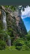 nikoleta.milenova Altpins Profile Picture