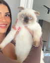 leahhalton Altpins Profile Picture