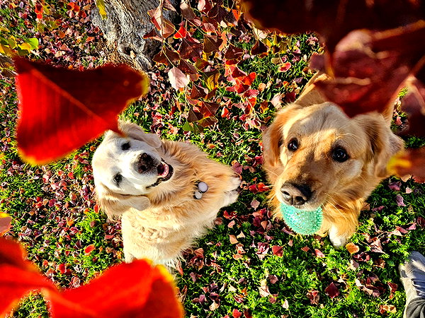 muze instagram image archive image