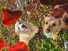 muze Altpins Profile Picture