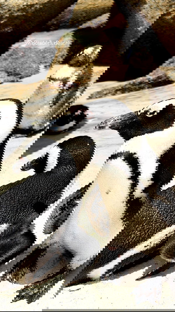 taylor.creeden taylor.creeden archive image