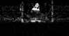 adele Altpins Profile Picture