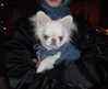 dwpolin Altpins Profile Picture