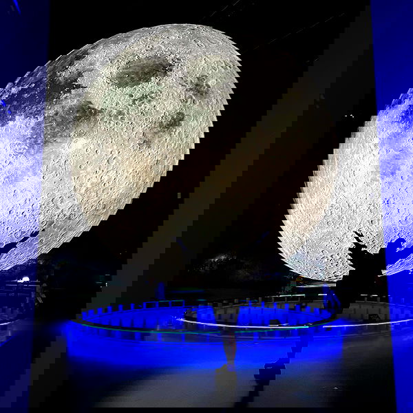 jtilb2 image ~ Altpins