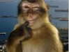 s111y_ccc0nt3 Altpins Profile Picture