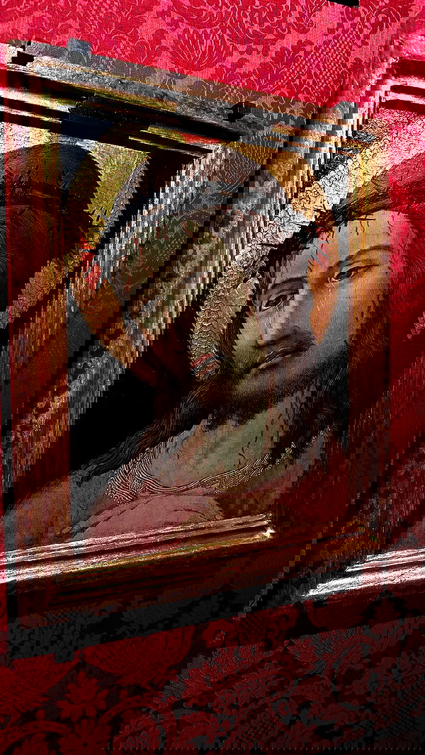 mishel116 mishel116 archive image