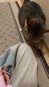 kristti.a Altpins Profile Picture