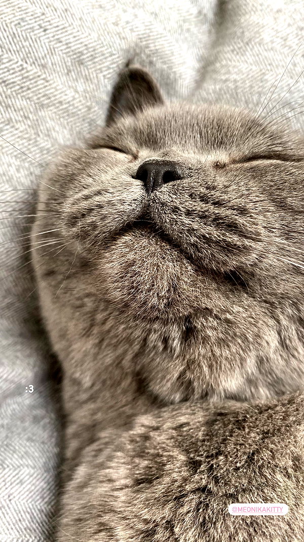 andasrose instagram image archive image