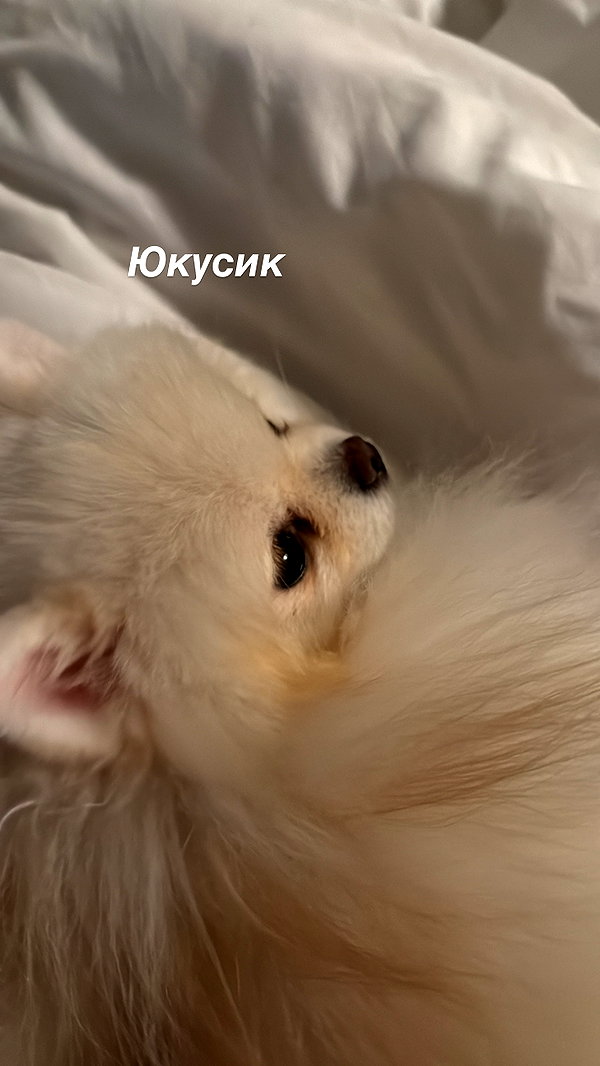imshigh_ imshigh_ archive image