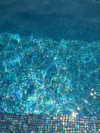 chelsnamsayin Altpins Profile Picture