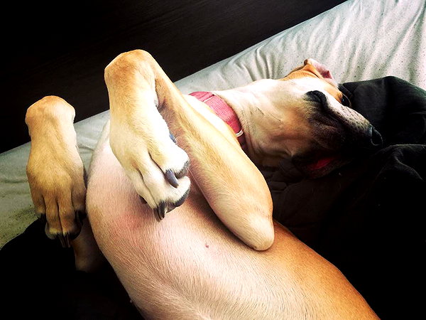 sashapieterse instagram image archive image