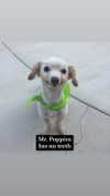 babynympho_archive Altpins Profile Picture