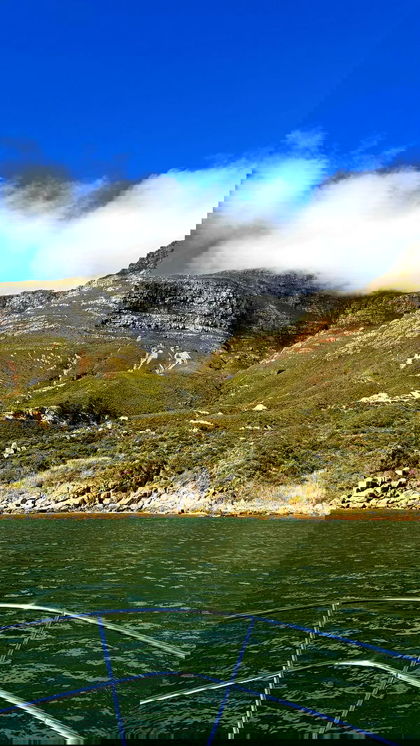 alexis.blond alexis.blond archive image