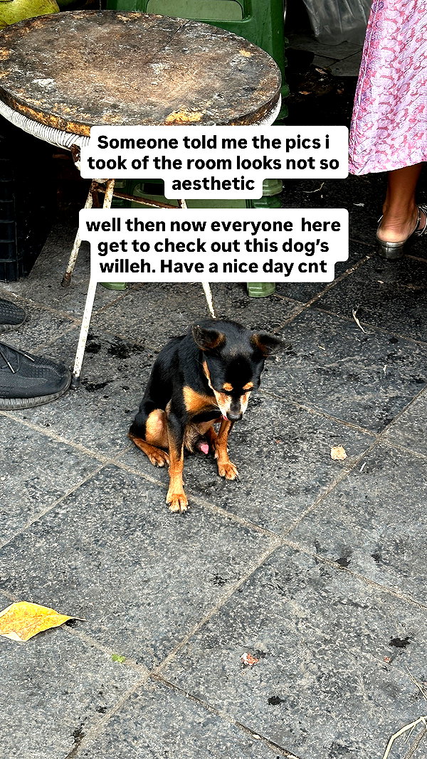 katjsx instagram image archive image